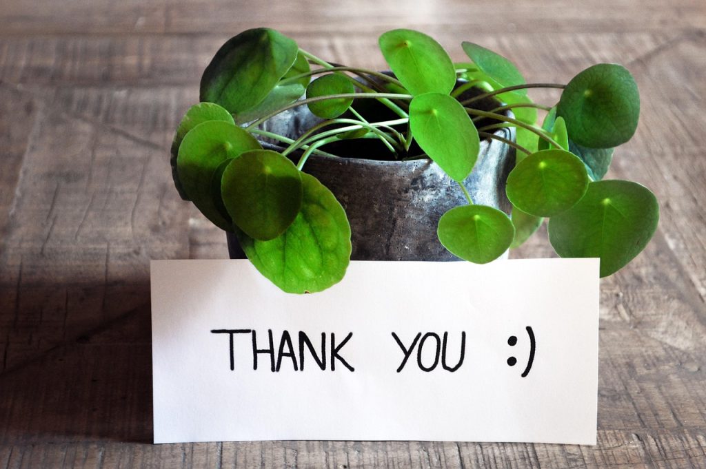 thank you, thank you card, table, plant, pot, modern, wooden table, feedback, map, write, ballpoint pen, greeting card, greeting, communication, post office, nature, news, information, smiley, good mood, positive, english